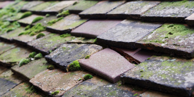 Hampden Row roof repair costs